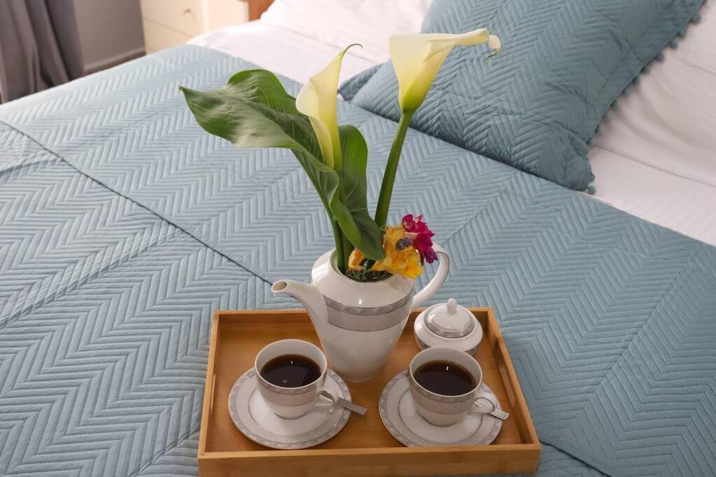 “Katerina'S Guest House” Kato Garouna 外观 照片